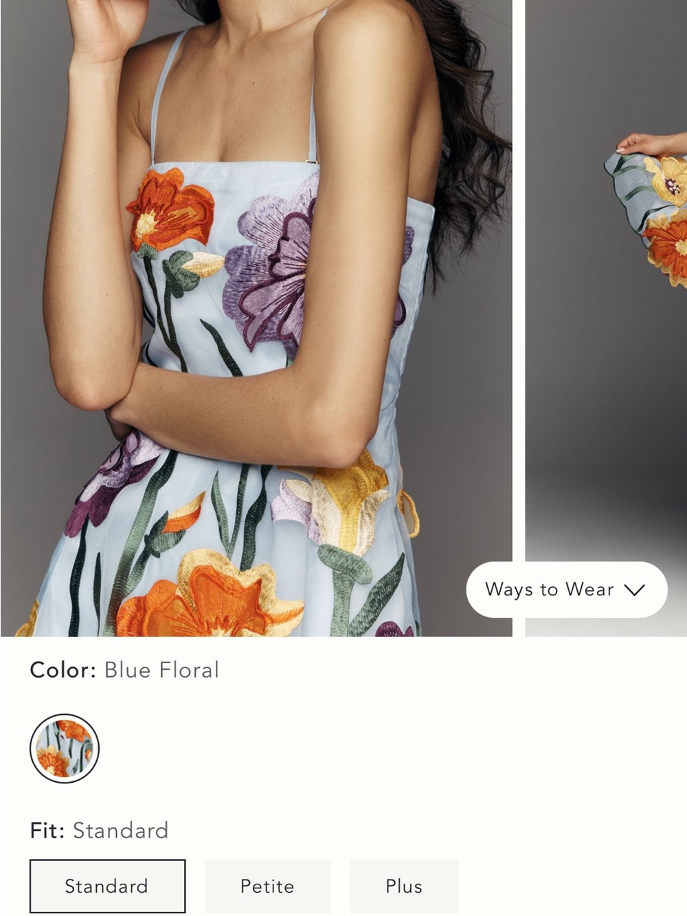 Anthropologie Blue Floral Embroidered Mini Dress